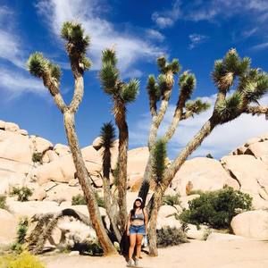 Meet your Posher, Mónica